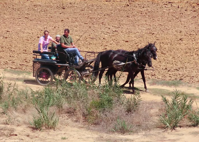 Daire Casa Do Portao Azul - Espadarte