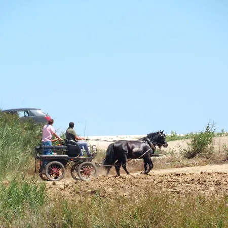Apartamento Casa Do Portao Azul - Espadarte Atouguia Da Baleia