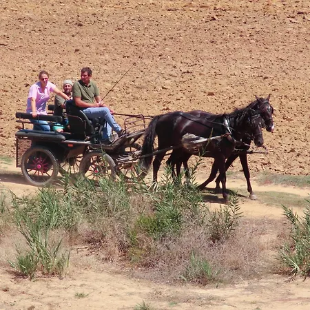 Apartamento Casa Do Portao Azul - Espadarte