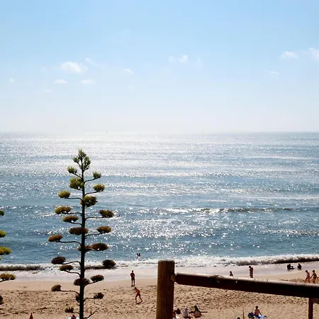 Casa Do Portao Azul - Espadarte *