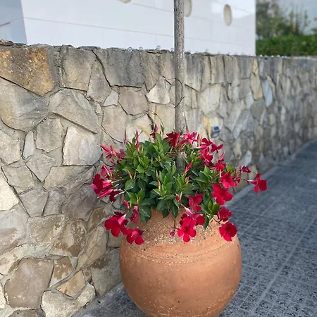 Casa Do Portao Azul - Espadarte * Atouguia Da Baleia